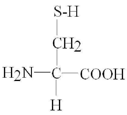 cysteamine-HCL005