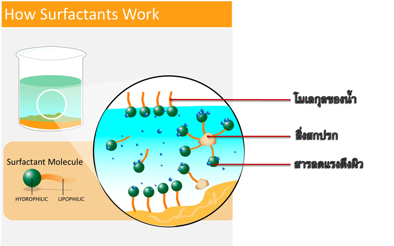 Surfactant_4